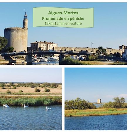 Suite Thalassa 1Ere Ligne Plages Du Couchant Wifi - Rossiconciergerie - Linge Inclus La Grande-Motte Buitenkant foto