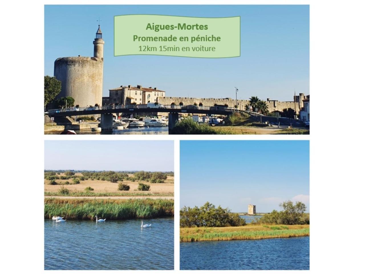 Suite Thalassa 1Ere Ligne Plages Du Couchant Wifi - Rossiconciergerie - Linge Inclus La Grande-Motte Buitenkant foto
